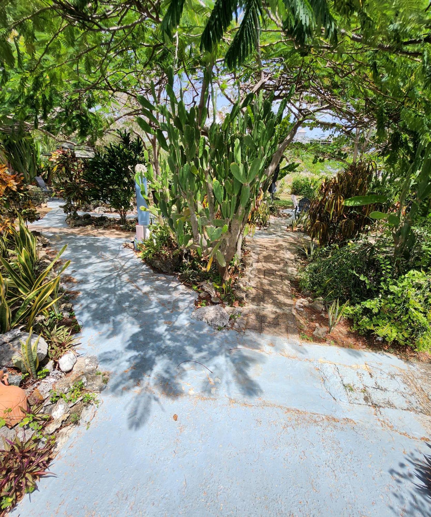 קראון פוינט Carolina Point Resort מראה חיצוני תמונה